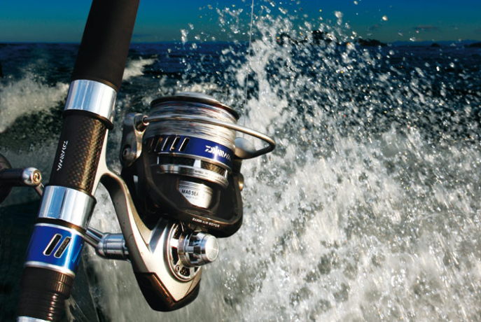 saltiga-daiwa.jpg