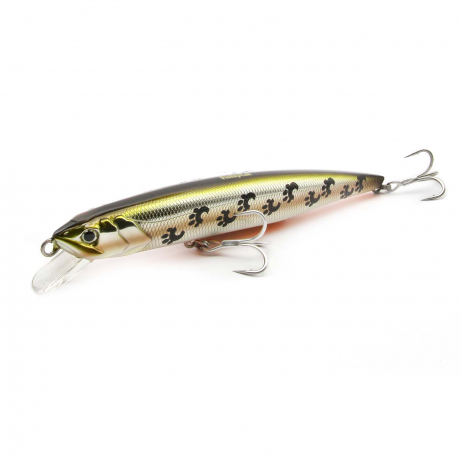 FISHYCAT TIGERCUB 205F X06.JPG