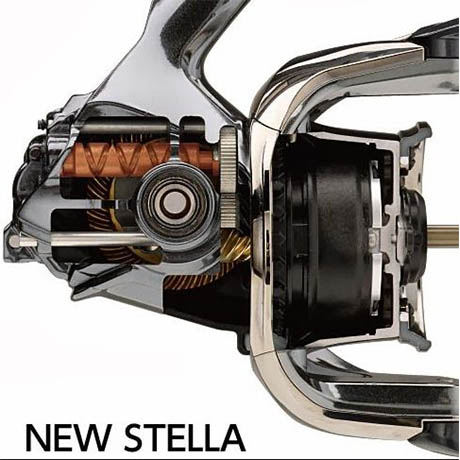 stella-2.jpg